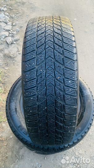 Nexen Winguard Ice Plus 185/65 R15