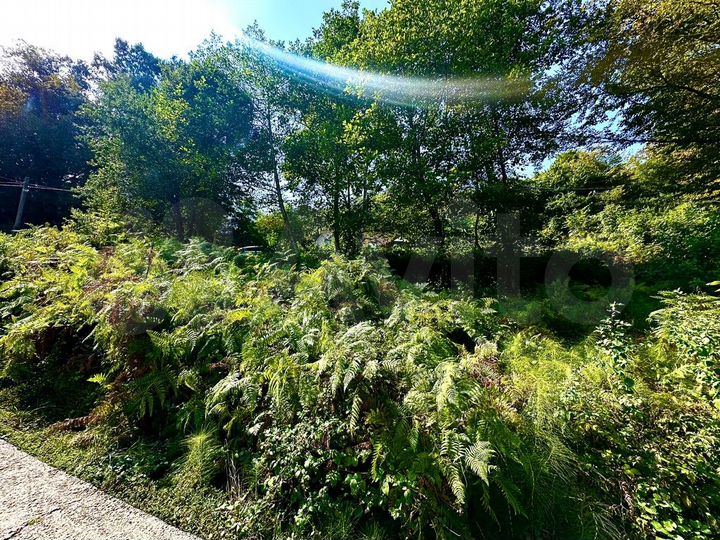 Участок 4 сот. (СНТ, ДНП)