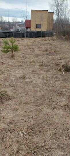 Участок 8 сот. (ИЖС)