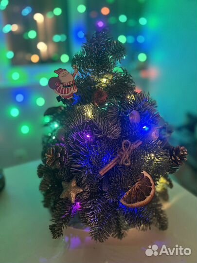 Композиции из нобилиса (лапника) живая