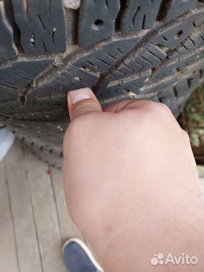 Tigar Winter 215/60 R17