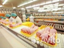 Обработчик птицы - вахта в Белгородской области