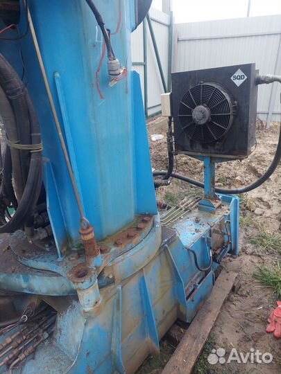 Кму донгянг 2037