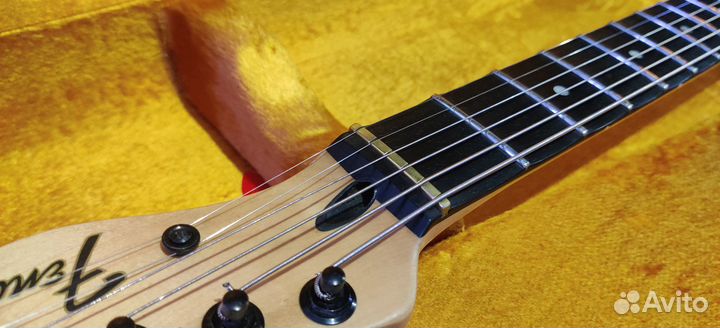 Fender Jim Root Telecaster (Оригинал)
