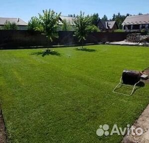 Рулонный газон