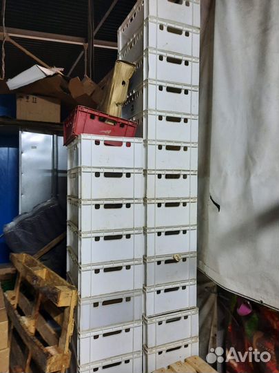 Ящик пластиковый, тара