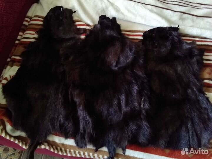 Шкурки нутрии