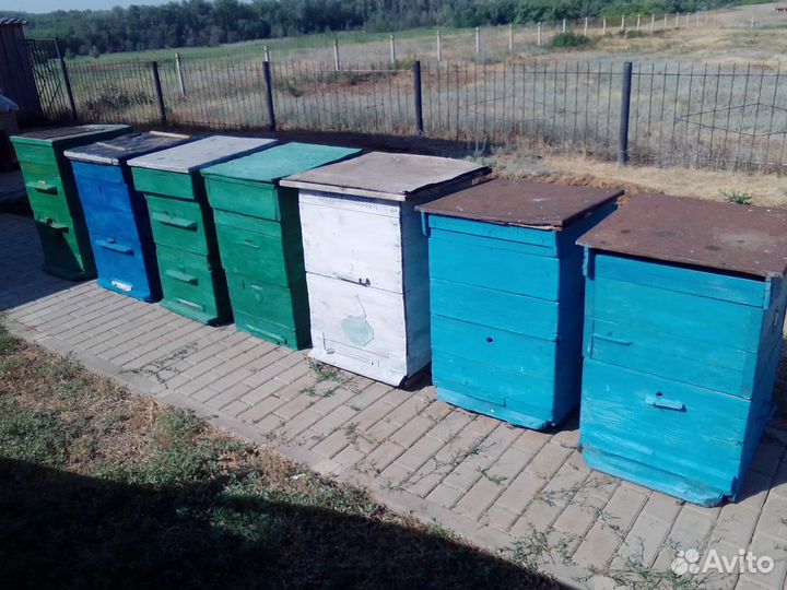 Ульи б/у