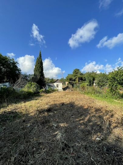 Участок 5,5 сот. (СНТ, ДНП)