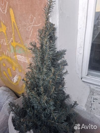 Ель искуственная