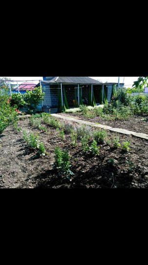 Дом 75 м² на участке 28 сот.