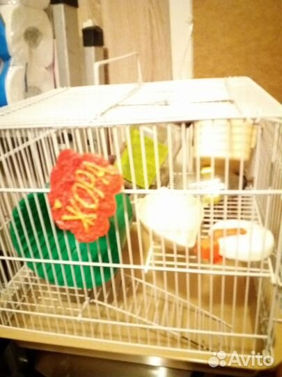 Клетка для грызунов