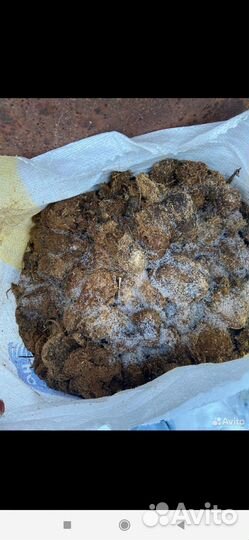 Навоз конский