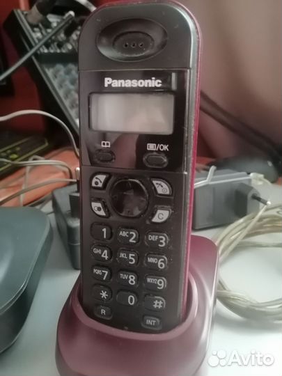 Panasonic