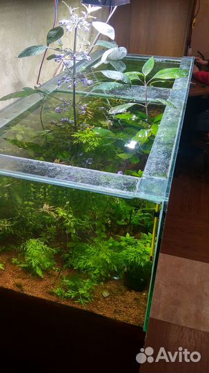 Аквариумный грунт