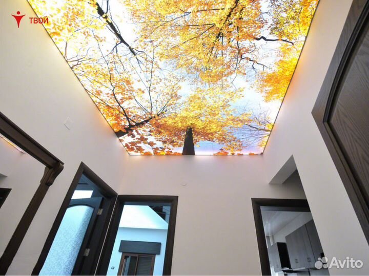 Натяжные потолки. Бесплатный замер