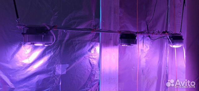 Фитолампа для растений (светодиоды полн. спектра)