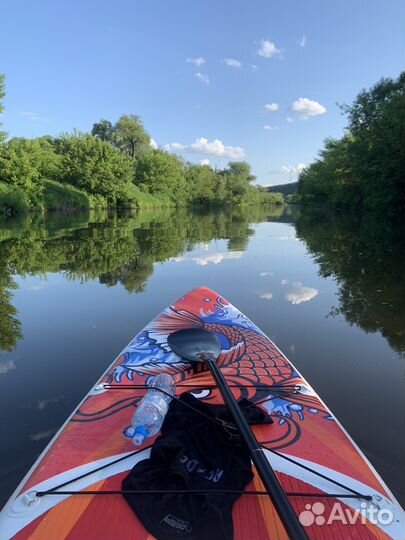 Sup board аренда