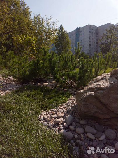 Садовник (дом,улица), фитопатолог, проектирование