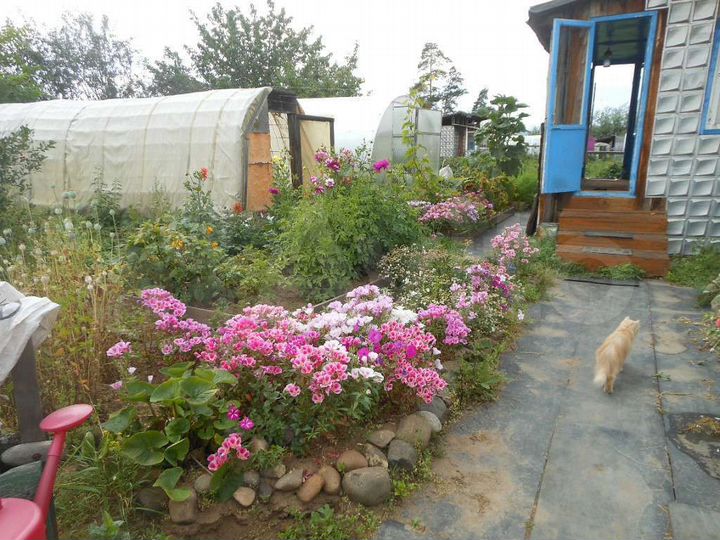 Дом 36 м² на участке 17 сот.