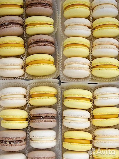 Обучающий курс по приготовлению макаронс