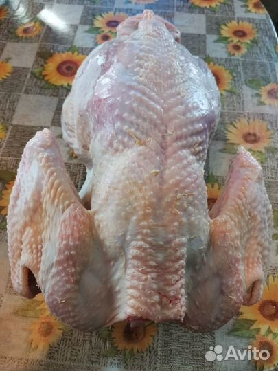 Мясо индейки