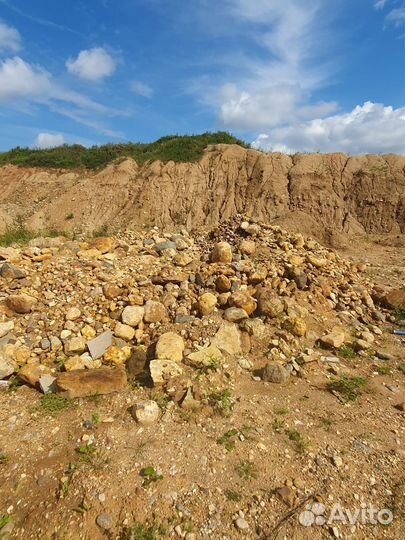 Карьер пгс В московской области (без лицензии)