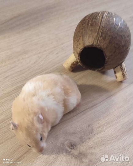 Домик для грызунов