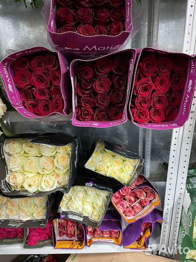 Роза в Новосибирске с доставкой в городе. Роза