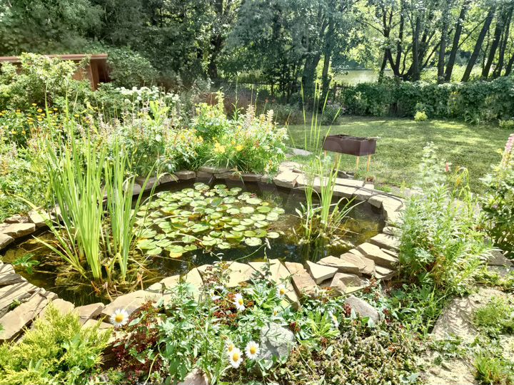 Дача 24 м² на участке 8 сот.