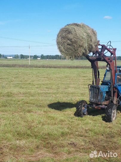 Сено в рулонах