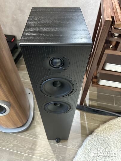 Акустика Totem Acoustic Bison Twin Tower