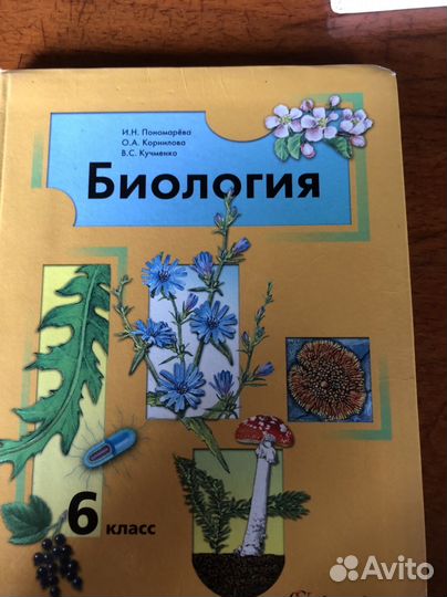 Биология 6 класс