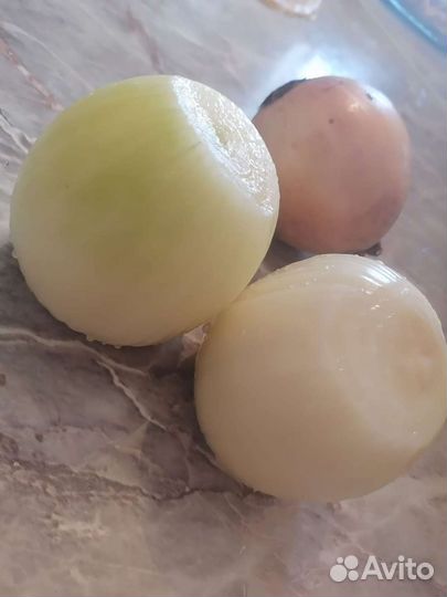 Картошка (Гала) из Чувашии для хранении