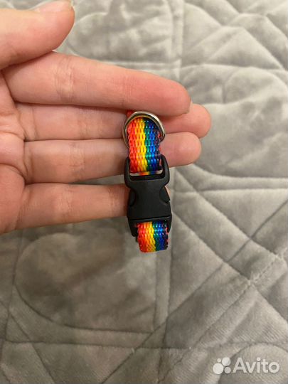 Ошейник,рулетка для собак