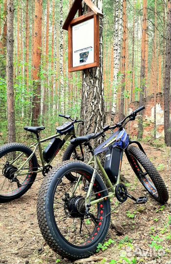 Прокат велосипедов