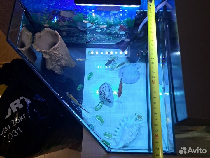 Аквариум 40литров с рыбками