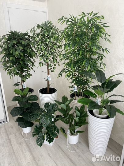 Искусственные растения и деревья