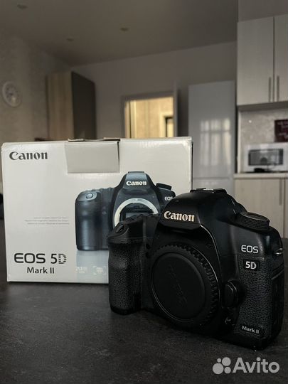 Зеркальный фотоаппарат canon 5 d mark 2 (II )