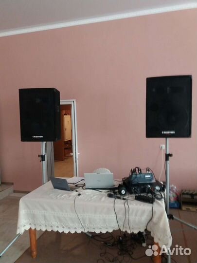 Ведущая праздников,тамада с музыкой.Дискотека,баян