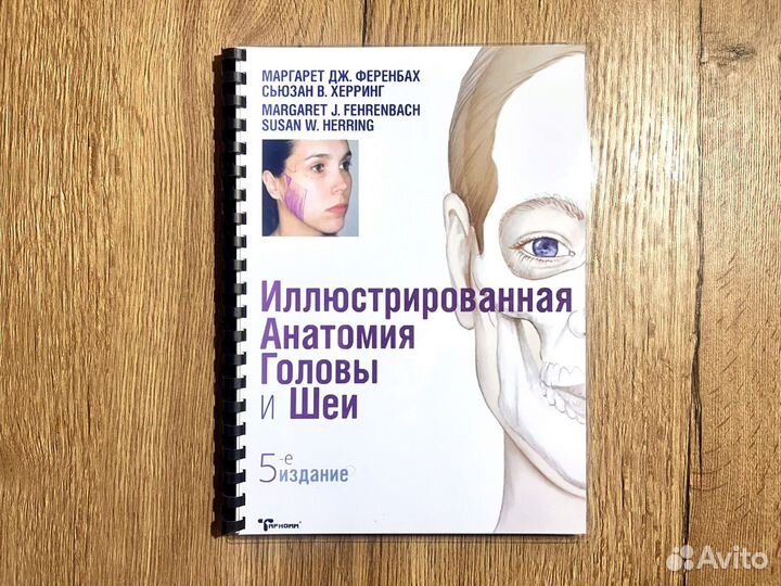 Иллюстрированная Анатомия головы и шеи