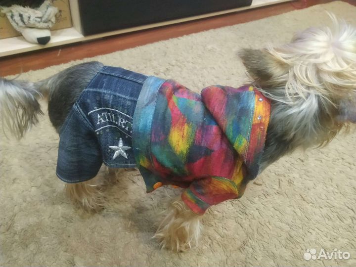 Одежда для маленькой собаки. Цена за 4 костюма