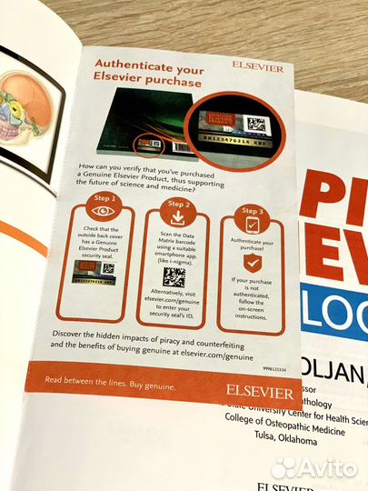 Rapid Review Pathology Goljan