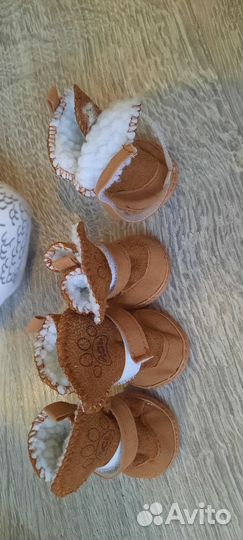 Обувь для собак