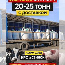 Жмых подсолнечный жаренный, Новый Оскол