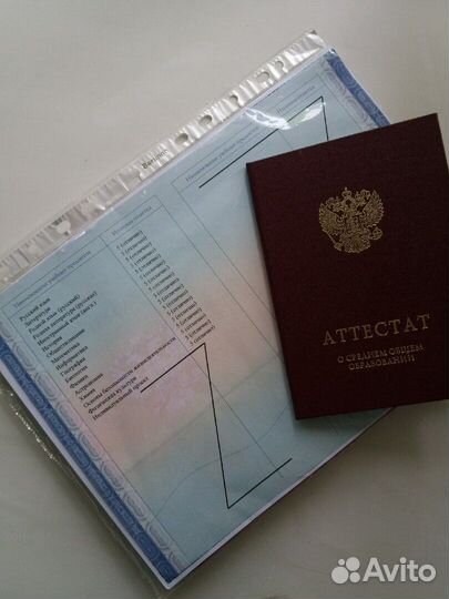 Репетитор по информатике