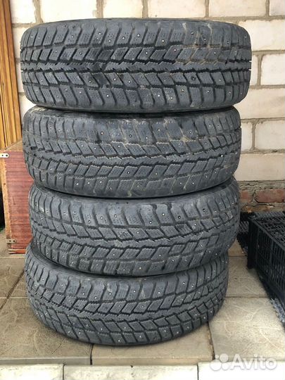 Nexen Winguard 231 205/65 R15