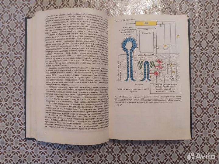 Физиология человека, В.М. Покровский