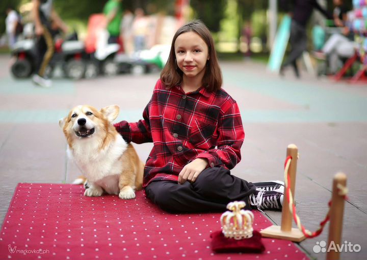 Фотосъемка Фотосессия Фотограф Бесплатно