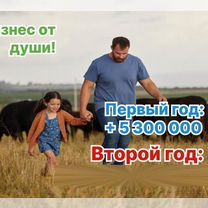 Сельскохозяйственное агентство в городе Магадан, Магадан
